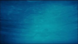 Terror Lake Drive - Season 03 Episdoe 07